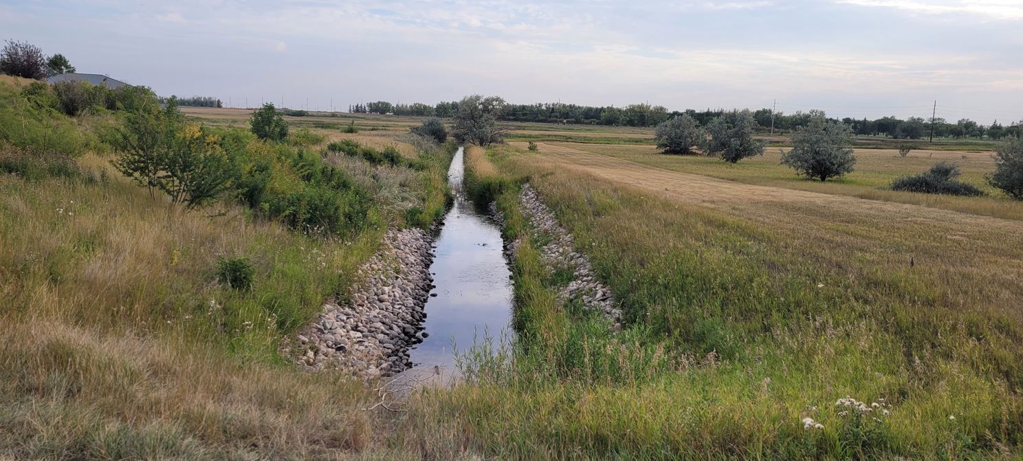 Stone, grass, water and sun