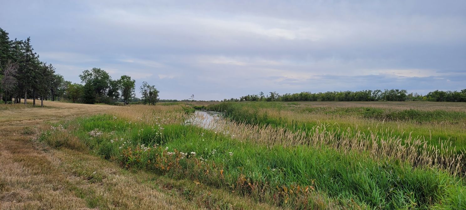 Water, sun and vegetation.