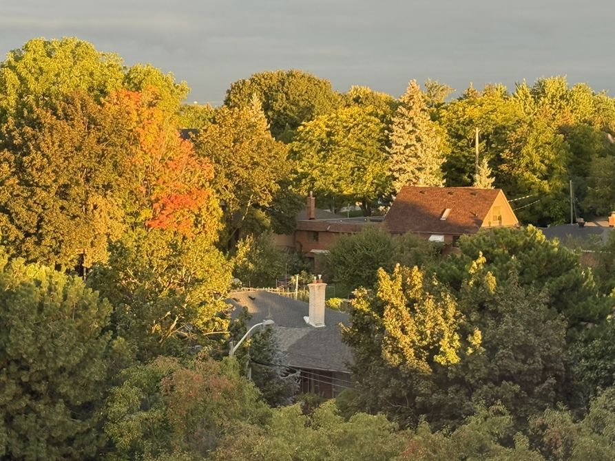 1000 kilometres closer to home