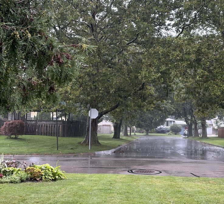 Rainy Day - another missed ride?  Aug 2/26