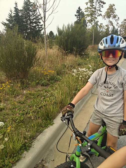 WSE Playground and Creekside Loop Aug 4th