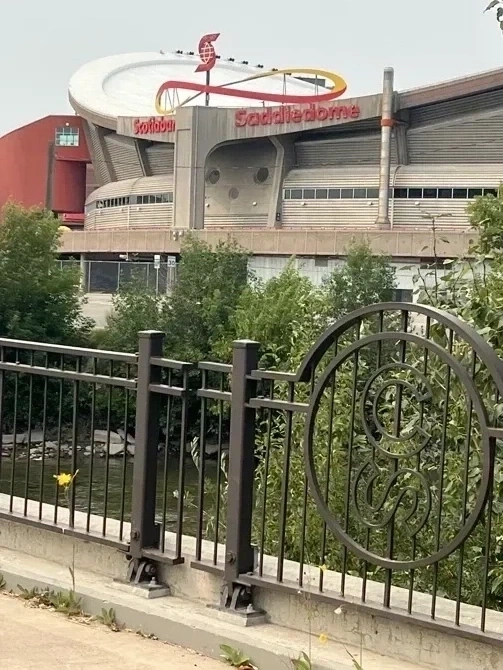THE DOME