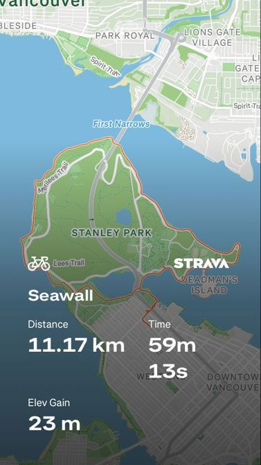 Seawal loop