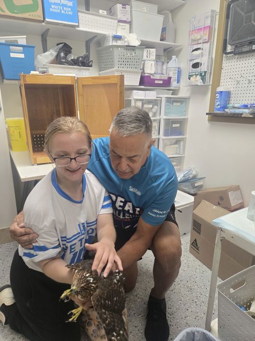 Delivering a Coopers Hawk to Caladon. No bike ride unfortunately. Volunteering for Erie Wildlife Rescue in Windsor Ontario.